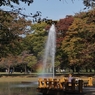 深秋の公園