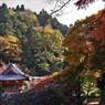 お寺の紅葉