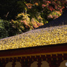談山神社の紅葉