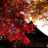 談山神社の紅葉