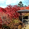 紅葉の中の東屋