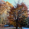 山間の甲斐路紅葉①