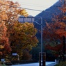 山間の甲斐路紅葉②