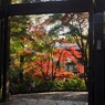 晩秋の深大寺　東門