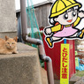 見守っているから