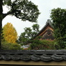 東福寺