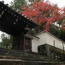 東福寺