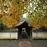 東福寺龍吟庵