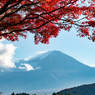 紅葉トンネルからの富士山