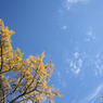 イマソラ20201122