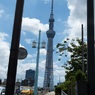 大阪は