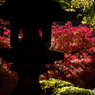 談山神社の紅葉