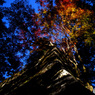 談山神社の紅葉