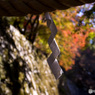 談山神社の紅葉