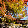 談山神社の紅葉