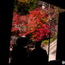 談山神社の紅葉