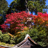 談山神社の紅葉
