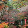 晩秋の三瀧寺