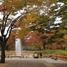 公園の秋　１