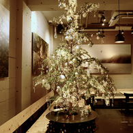 Tree : Bees bar by NARISAWA