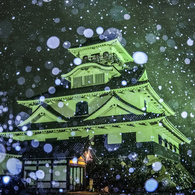 長浜城雪景色