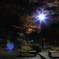 真夜中、横浜公園の日本庭園