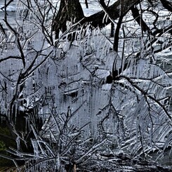 樹木しぶき氷　２