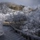 霧氷の大台ヶ原