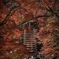秋の談山神社