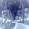 恋人達の散歩道　Winter blue