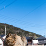 ぽかぽか日差しがいい心地