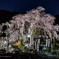 曹洞宗八幡山林陽寺2021