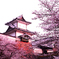 石川門～桜シーズンの幕開け～