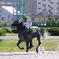 競馬場にて