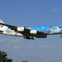 「良い天気」Flying Honu A380-841 JA381A お帰り？