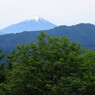 5月の富士山