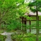 京都緑の世界
