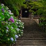 本堂への道～長谷寺