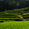 日本の原的風景。