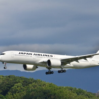 JAL 253