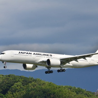 A350 JAL2