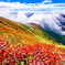 紅葉と滝雲