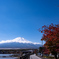 紅葉と富士山