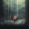 森に熊