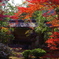 2021京の紅葉（妙心寺大法院2）