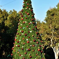 動物園内のクリスマスツリー