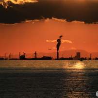 青い空と海（DD）