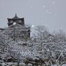 雪の霞ヶ城