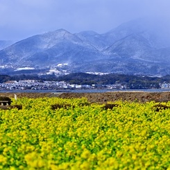 雪の比叡山