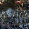 奥秩父の寺 高谷山金昌寺05